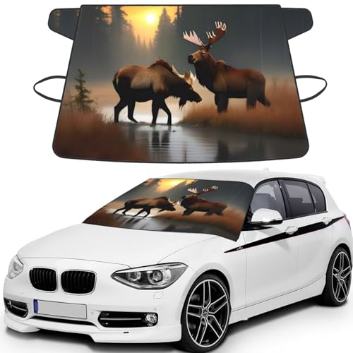 Protector de escarcha para coche ideal en mañanas frías de montaña