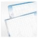 Classic Seasons Lined Pages