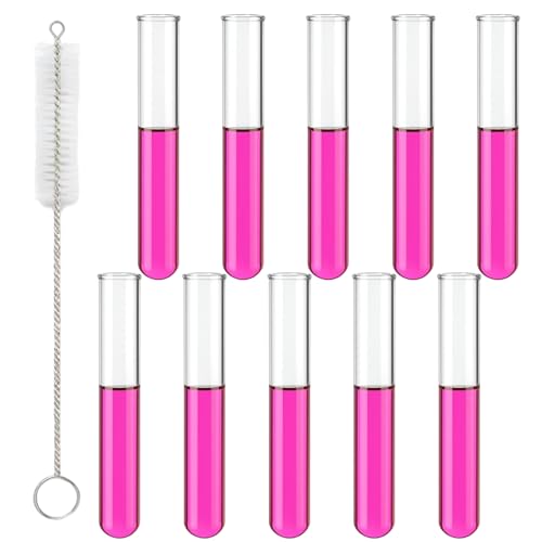 11-Piece Propagation Tubes Test Tubes for Plants Set with 10 Rolled Rim Tubes and 1 Brush