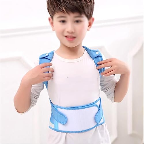 YWangQiang w n`obN  ʋC p  p  w Ȃp  (J[ : DATCY : XL) (D [W)