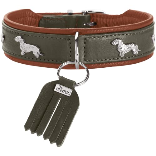 Hunter Teckel-Halsband MÜNCHEN, Farbe: grün/Cognac, Leder, edle Dackel-Besätze, weich und robust, fellschonend, luxuriös, ökologisch hergestellt, nachhaltig, Made in Germany, Größe: 32
