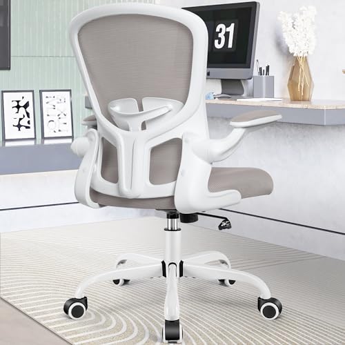 FelixKing Office Ergonomic Mesh Chair with Lumbar & Height