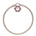 Produktbild HMKLN Sterling Silber Heraldic Radiance Vorhängeschloss Rose & Pink & Purple Crystals Pan Armband Fit Frauen Bead Charm DIY Schmuck