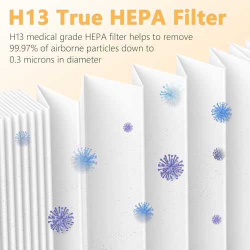 Image of 2 Packs F1 Replacement Air Filter Compatible with 3M Filtrete FAP-C01-F1, FAP-T02-F1, FAP-C01BA-G1, FAP-T02WA-G1, FAP-ST02W and FAP-ST02N Room Air Purifi-er