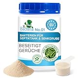 Mr.Bacteria No.1 Bakterien Aktivator und Reiniger für Ihre Klärgruben, Klärbehälter, Senkgrube und Abwasseranlagen 500g (1 Stück)