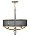 Hinkley 4753BC Transitional Three Light Foyer Pendant from Ascher collection in Gold, Champ, Gld Leaffinish,