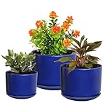 EFISPSS Plant Pots, 4+5+6 inch Pots for Indoor Plants, Ceramic Planters with Drainage Hole Set of 3,Flower Pots for Succulent Cactus- Bule