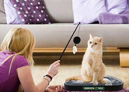 Griffoir pour chat NHL Minnesota Wild Pets First avec balle - 10