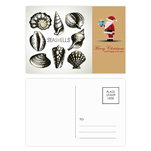 Cartes postales pétoncles noir Marine Life pour décoration murale et vœux