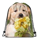 456 Sac De Gym À Cordon 36X42cm Chiots Golden Retriever Mignons S'Embrasser Sac De Sport Lavable en Machine Sac Mode Sports Sacs À Cordon pour Le Jardin d'enfants, L'École, Camping