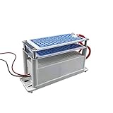 Co-parts Portable 10g/h Equal To 10000mg/h Ceramic Ozone Generator Double Integrated Plate Ozonizer Air Purifier