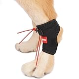 BUVUB Dog Canine Knuckling Brace Rear Leg Dog Foot Brace Wrap for Toe Dragging Cause by Sciatic Nerve Insufficiency, Myelopathy, Herniated Disc (Small)