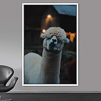 Framed Canvas Wall Art Llama Animals Camels Expressive Farmhouse/Country Living Room Multicolor Photography - 16x24 inches
