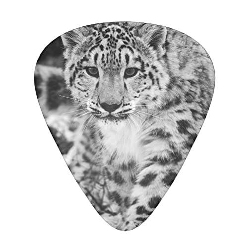 Ensemble de 12 médiators de guitare léopard des neiges pour guitare acoustique, guitare électrique, contrebasse, ukulélé - Les Beatles, Paul McCartney, John Lennon, RIngo Starr, George Harrison Ensemble de 12 médiators de guitare léopard des neiges pour guitare acoustique, guitare électrique, contrebasse, ukulélé