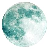 HYTROVE シーライト発光 ムーンウォールステッカー 壁用蛍光ステッカー 簡単取り付け 取り外し可能 家用インテリア装飾 クリエイティブデザイン