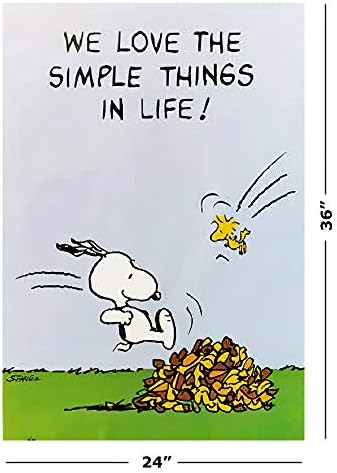Amazon Com Poster Stop Online Peanuts We Love The Simple Things In Life Poster Size 24 X 36 Posters Prints