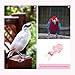balacoo Bird Flight Suit Reusable Parrot Diaper for Parakeets Cockatiels Lightweight Stylish Bird Clothing Creative Design for Easy Wear Pet Supplies