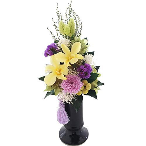 t[rW vU[uht[ XEI[LbhCG[(g[ 28cm) Pi/ԥdp