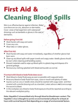 Image of DEMEANOR Blood Cleanup Spill Kits (10 LTR HANDLE BOX)