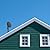 Core Innovations Outdoor/Attic Amplified TV Antenna with 100-Mile Range