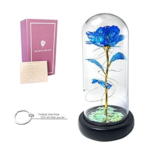 Bomjams Unique Gift for her, Infinity Rose Galaxy Rose Led Glass Rose,, Valentines Day Gift, Blue Rose