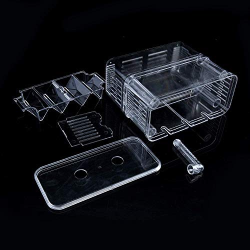 In-Tank Aquarium Breeder Box For Fish Tank, Breeding Incubator For Small Fish Hatchery, Acrylic Divider For Shrimp Clownfish Aggressive Fish Injured Fish, Can Connect Air Pump (Small) #TOP6