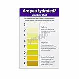 Urine Color Issues And Health Status Art Poster Urine Color Chart Poster (13) Canvas Painting Wall Art Poster for Bedroom Living Room Decor 20x30inch(50x75cm) Unframe-style