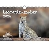 Seelenzauber