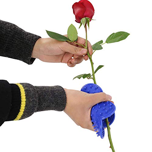 3PCS herramienta quit espinas hojas para rosas miniatura 2