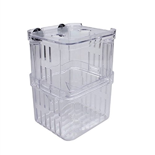 EFORCAR 1 stücke Fischzucht Boxen Doppel Guppies Schlüpfen Inkubator...
