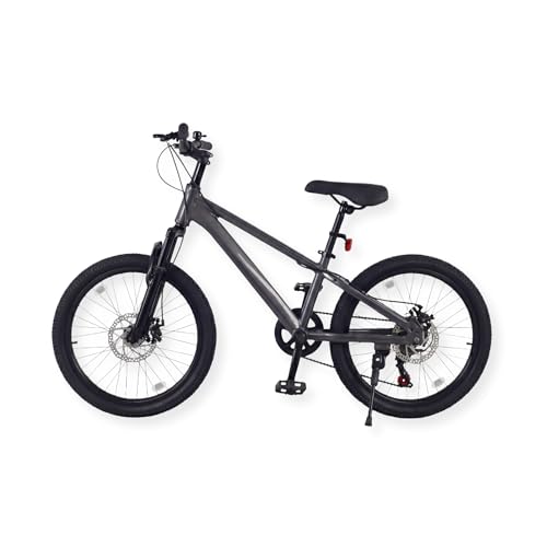 Buxibo - Vélo Laguna - VTT pour Enfants - Cadre en Alliage d'aluminium - 20 Pouces - Gris