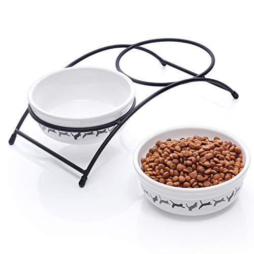 Y YHY Cuencos Elevados de Cerámica para Gatos, 355ml(12 onzas) Elevados Cuencos para Alimentos o Agua, Platos de Doble Gato, Regalo para Gato, color Blanco