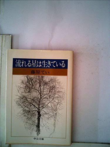 流れる星は生きている (1976年) (偕成社文庫)