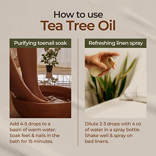 Gya Labs Australian Tea Tree Oil For Hair & Scalp - 100% Pure & Natural Therapeutic Tea Tree Oil For Face - Tea Tree Oil For Skin, Toenails & Piercings (1 Fl Oz) #TOP6