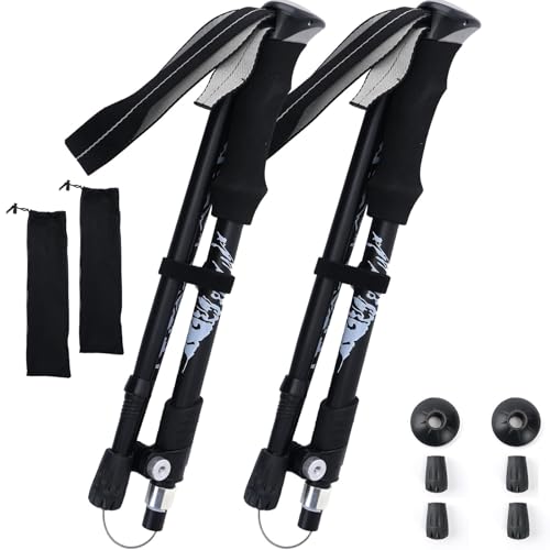 ISEFUJI gbLO|[ oR  ܂肽 yʃA~ 2{Zbg AEghA EH[LO XebL |[ R nCLO [obOt (ubN, 95.110)