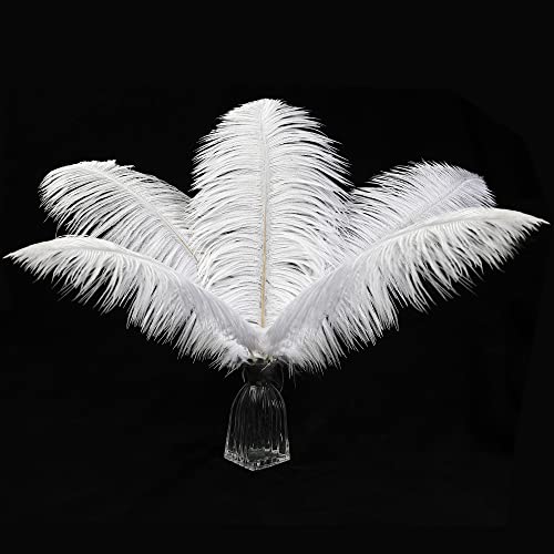 12pcs Natural White Ostrich Feathers 12-14inch (30-35cm) for Wedding Party CenterpiecesFlower Arrangement and Home Decoration.