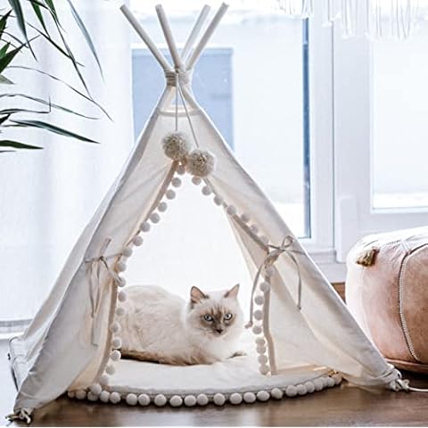 Modernes Hundebett, Hunde Tipi, Katzenbett, Katzen Tipi, Haustier Tipi, Hundebetten aus natürlichem Baumwolle und Holz Cover