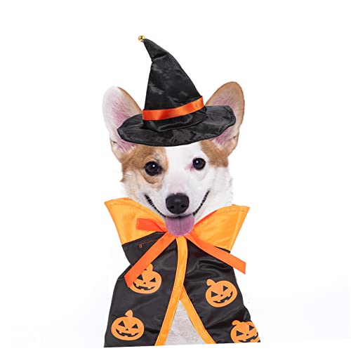 Disfraz Halloween para perros y gatos capa y sombrero miniatura 2
