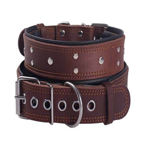 Collare per Cani Con Borchie in Pelle, Imbottito, Extra Spesso e Largo 5 cm, in Vera Pelle Morbida e Resistente, Per Cani di Taglia Media e Extra Grande (Marrone, XL)