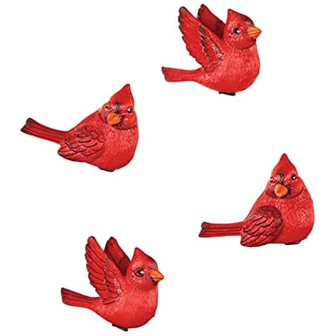 Collections Etc Cardinal Magnets Cover