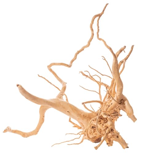 Image of Driftwood for Aquarium Medium Size 1Pcs | Natural Aquarium Decor Driftwood | Random Shape and Style Medium Size 1Pc