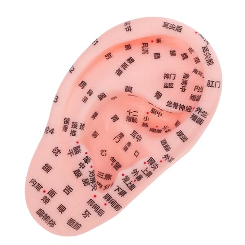 FOYTOKI Ears Models Ear Massages Model Home Use Acupoint Massager for Health Improvement