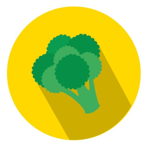 Healthy Recipes