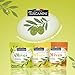 Tuscanini Italian Garlic Flavor Snack Olives, 1 oz (10 Pack) Pitted Olive Pouches for Snacking | No Oil | Gluten Free, Vegan | For Travel, Picnics and Office Snacks | Kosher
