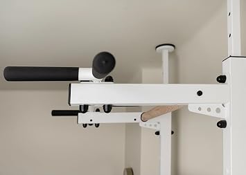 521W Wallbars, Stall Bars, Swedish Ladder, Gymnastic Ladder with Fixed Steel 6-Grip Pull Up Bar, Floor to Ceiling or Wall Mounting for Suspension Training and Stretching, Home, Gym