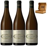 José Pariente - Envío Gratis 24H - DO Rueda - Vino Regalo - Cosecha Privada (3 x Botella 75 cl, Fermentado en Barrica)