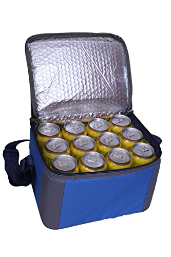 Image of BagsRUs Polyester Insulated Portable Cooler Bag with Free Ice Pack, 11L, Royal Blue
