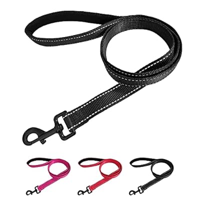 Beshine Padded Handle Dog Lead, 1.2m x 2cm Durable Reflective Nylon Dog Leash for Small, Medium Dogs, Black
