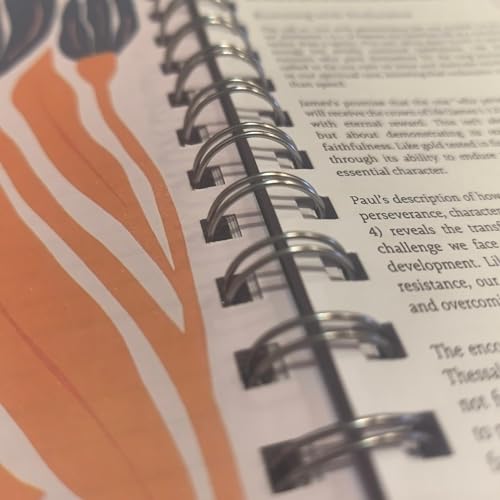 The Bible in A Year, A 52-Week Study, Spiral Bound Study Guide, 52-Week Bible Study Plan, A Yearlong Bible Study for Women, Daily Devotional Plan & Reflection Journal (A5) - Image 5