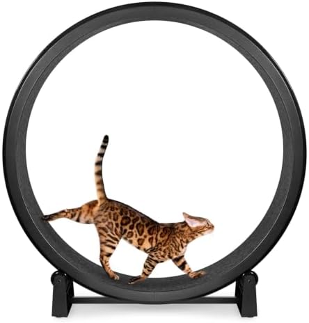 One Fast Cat Exercise Wheel, Gen 7, Safe 48” Diameter, Made in th...